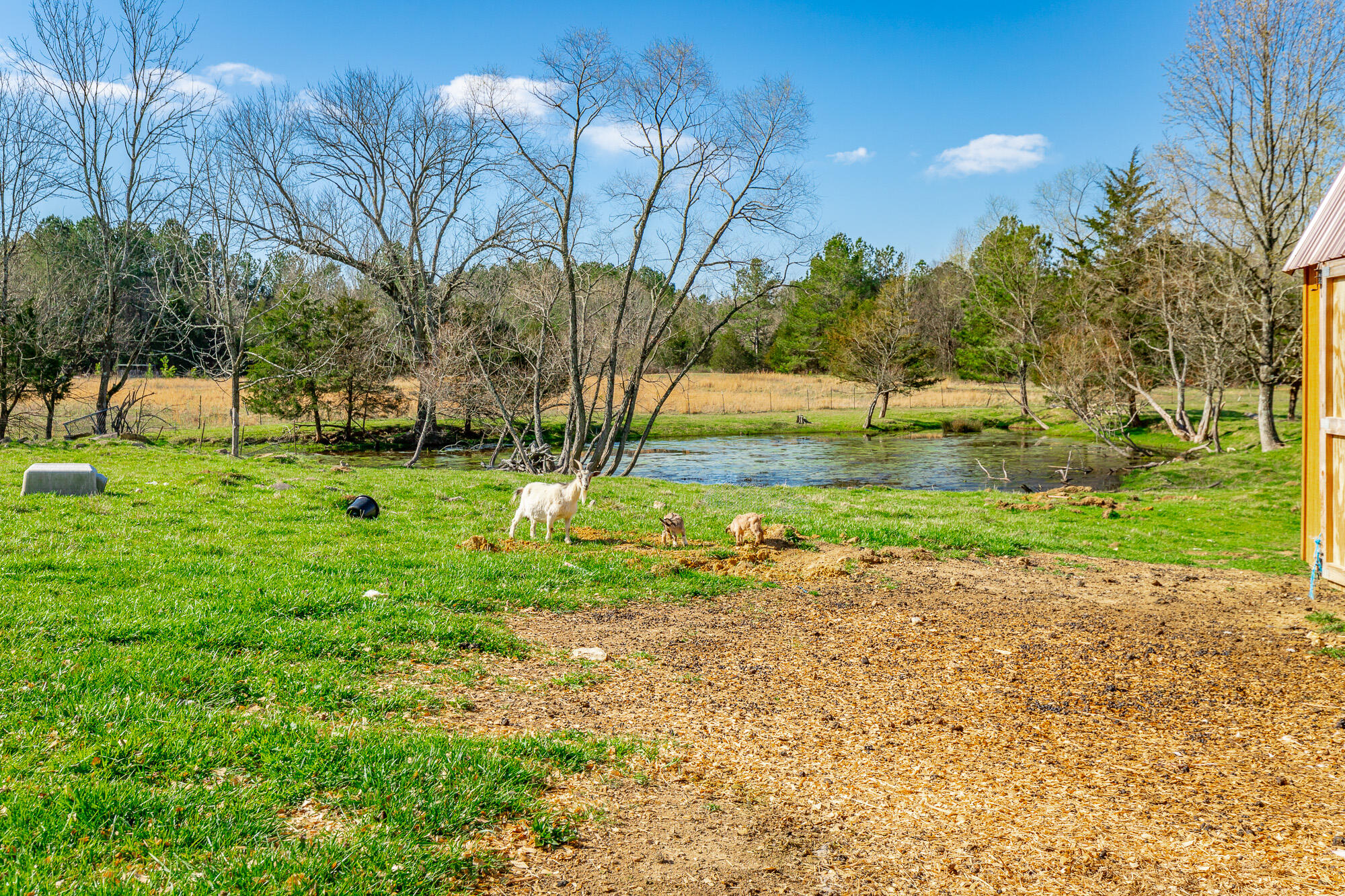 3785 Poplar Springs Road, Ringgold, Georgia image 36