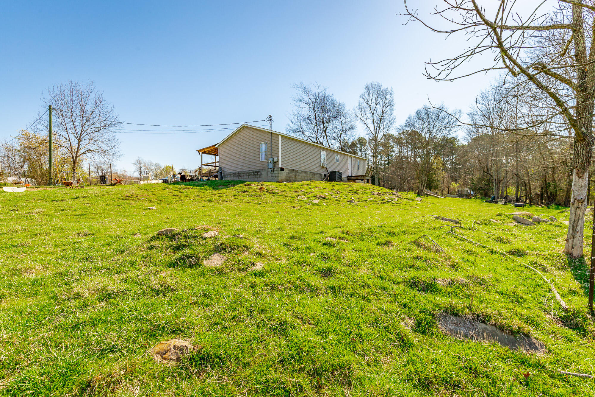 3785 Poplar Springs Road, Ringgold, Georgia image 32