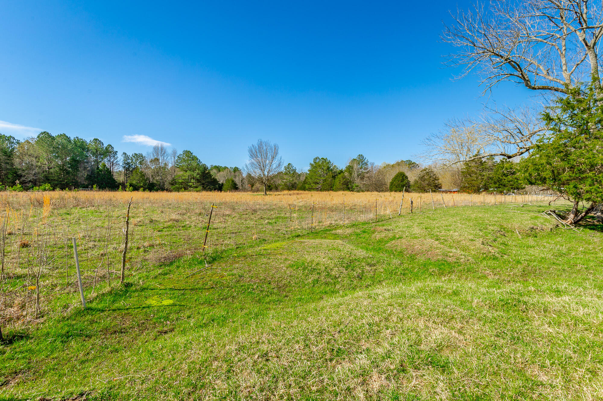 3785 Poplar Springs Road, Ringgold, Georgia image 7