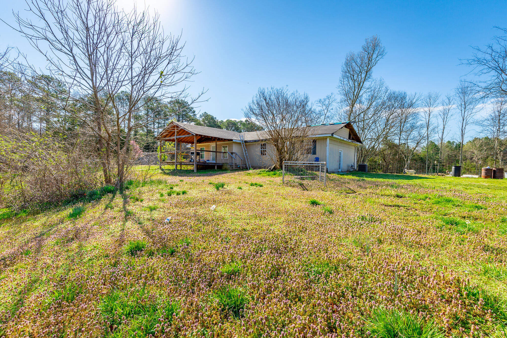3785 Poplar Springs Road, Ringgold, Georgia image 21