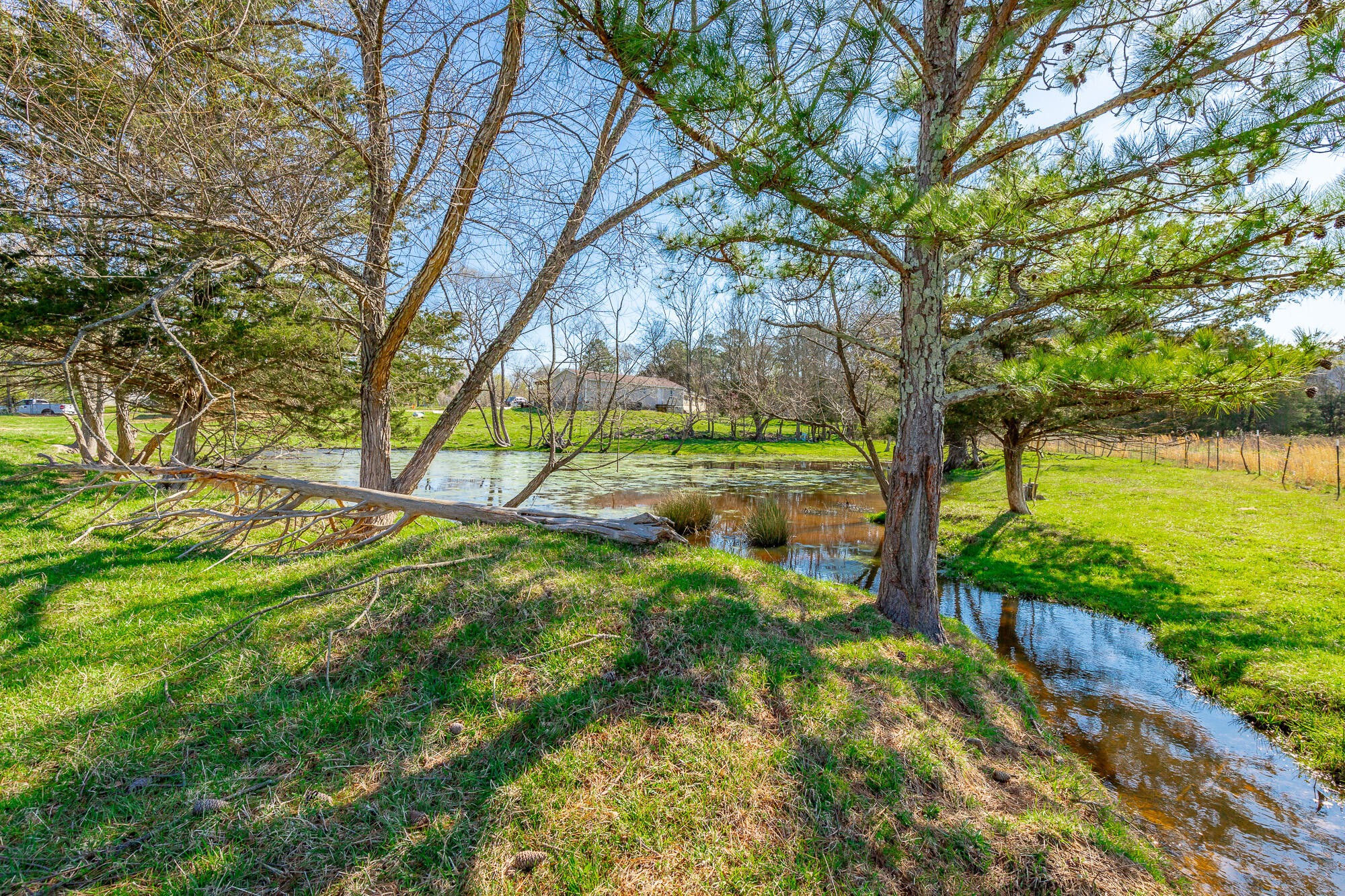 3785 Poplar Springs Road, Ringgold, Georgia image 6