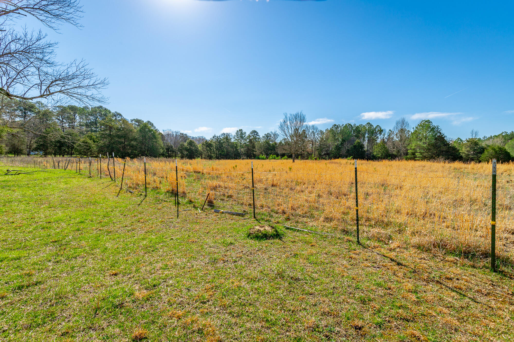 3785 Poplar Springs Road, Ringgold, Georgia image 3
