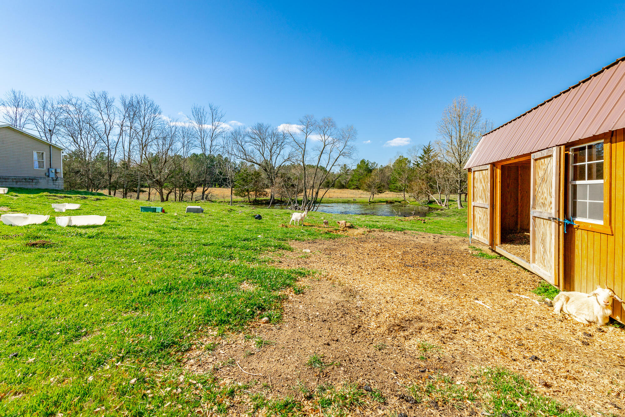 3785 Poplar Springs Road, Ringgold, Georgia image 35