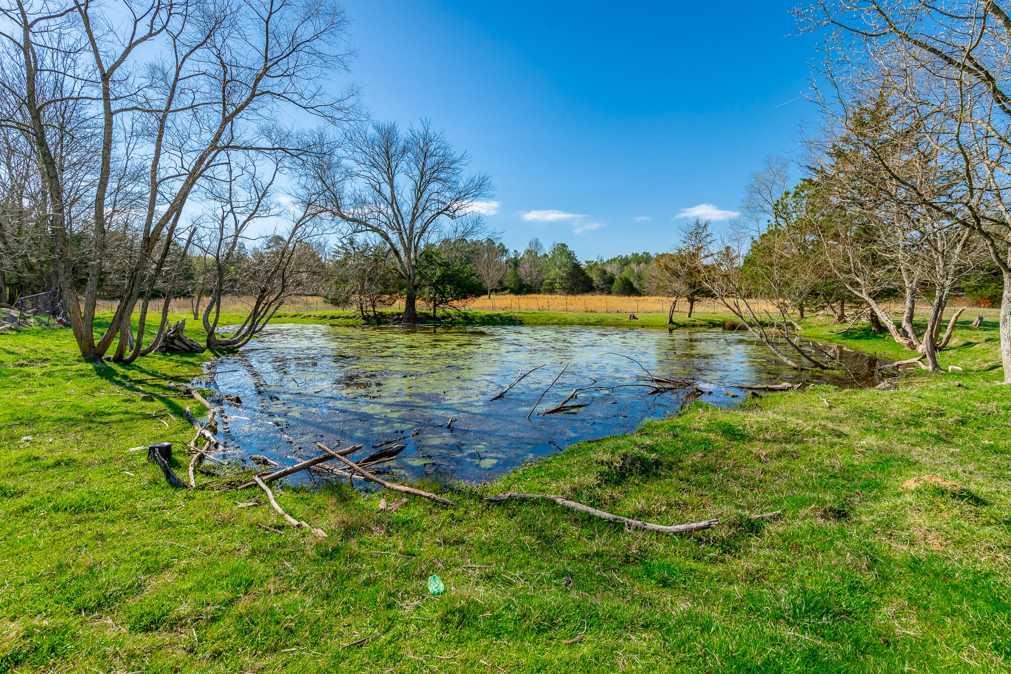 3785 Poplar Springs Road, Ringgold, Georgia image 40