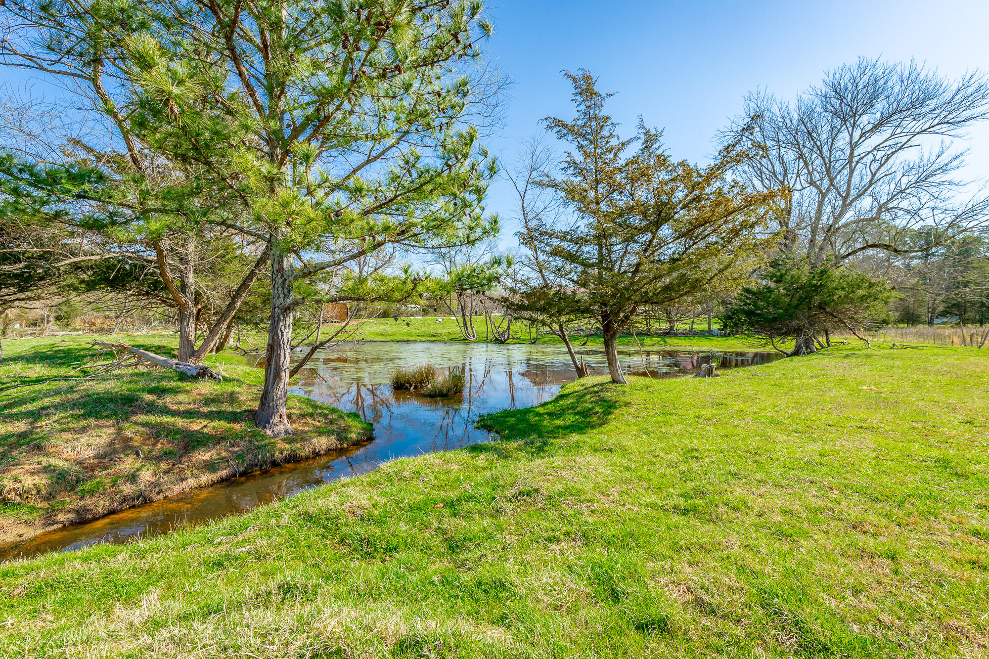 3785 Poplar Springs Road, Ringgold, Georgia image 42
