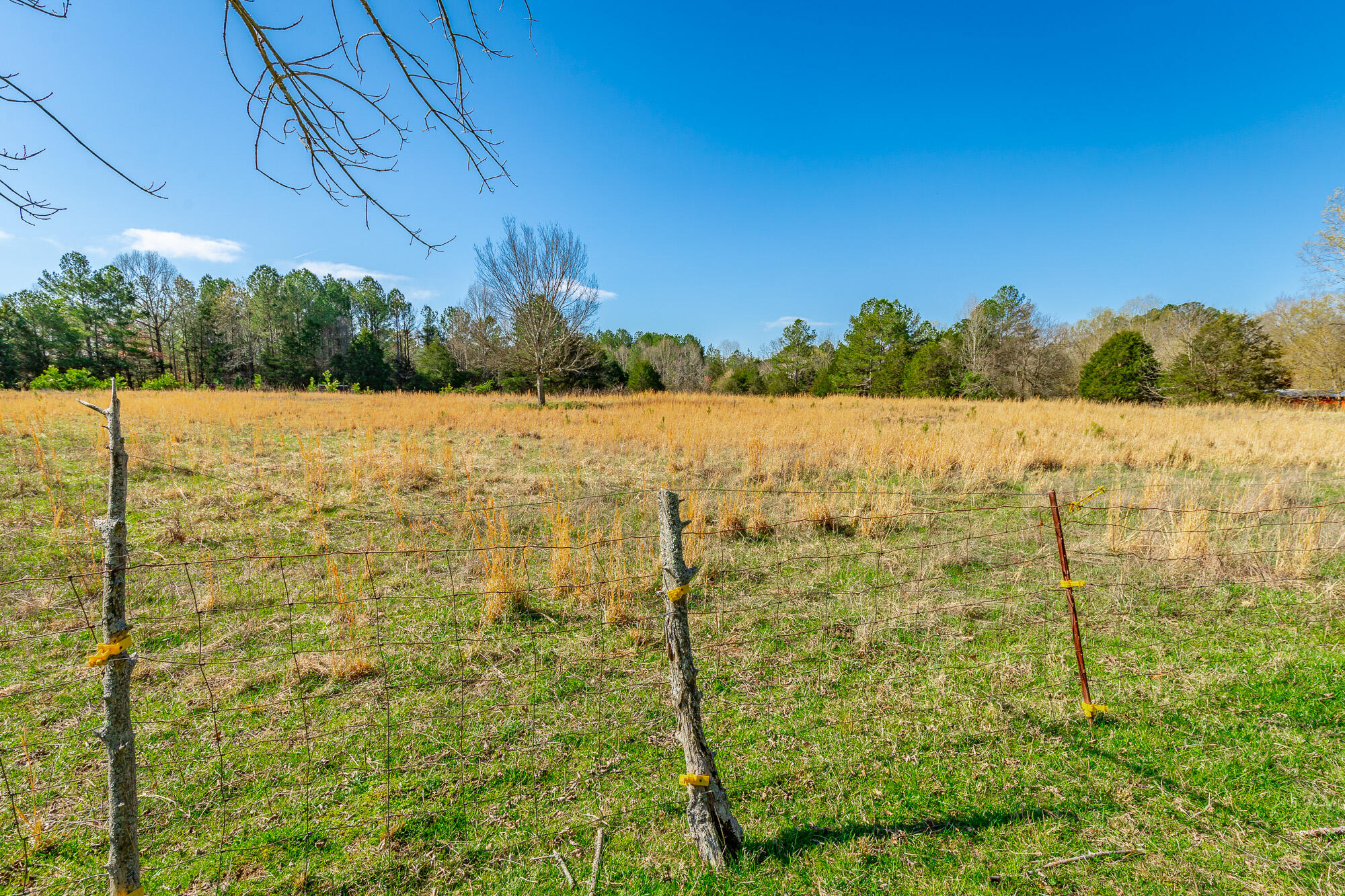 3785 Poplar Springs Road, Ringgold, Georgia image 46