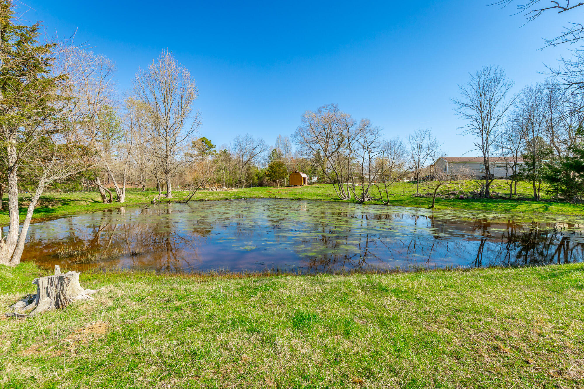 3785 Poplar Springs Road, Ringgold, Georgia image 45