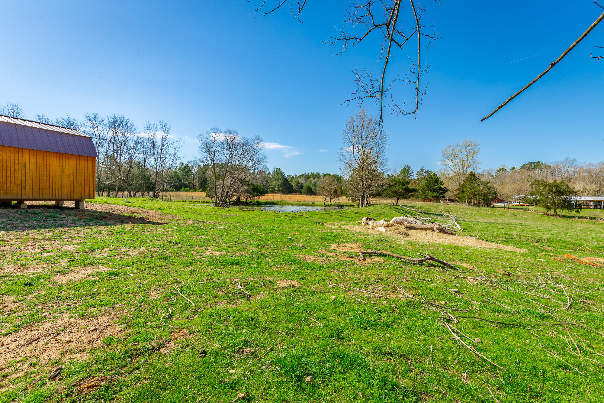 3785 Poplar Springs Road, Ringgold, Georgia image 37
