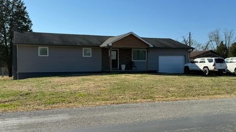 Photo of 317 County Road 271, Niota, TN 37826 (MLS # 1525857)