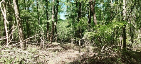 Vacant Land For Sale - Coburntown (lot 13) Road<br/> South Pittsburg, TN 37380