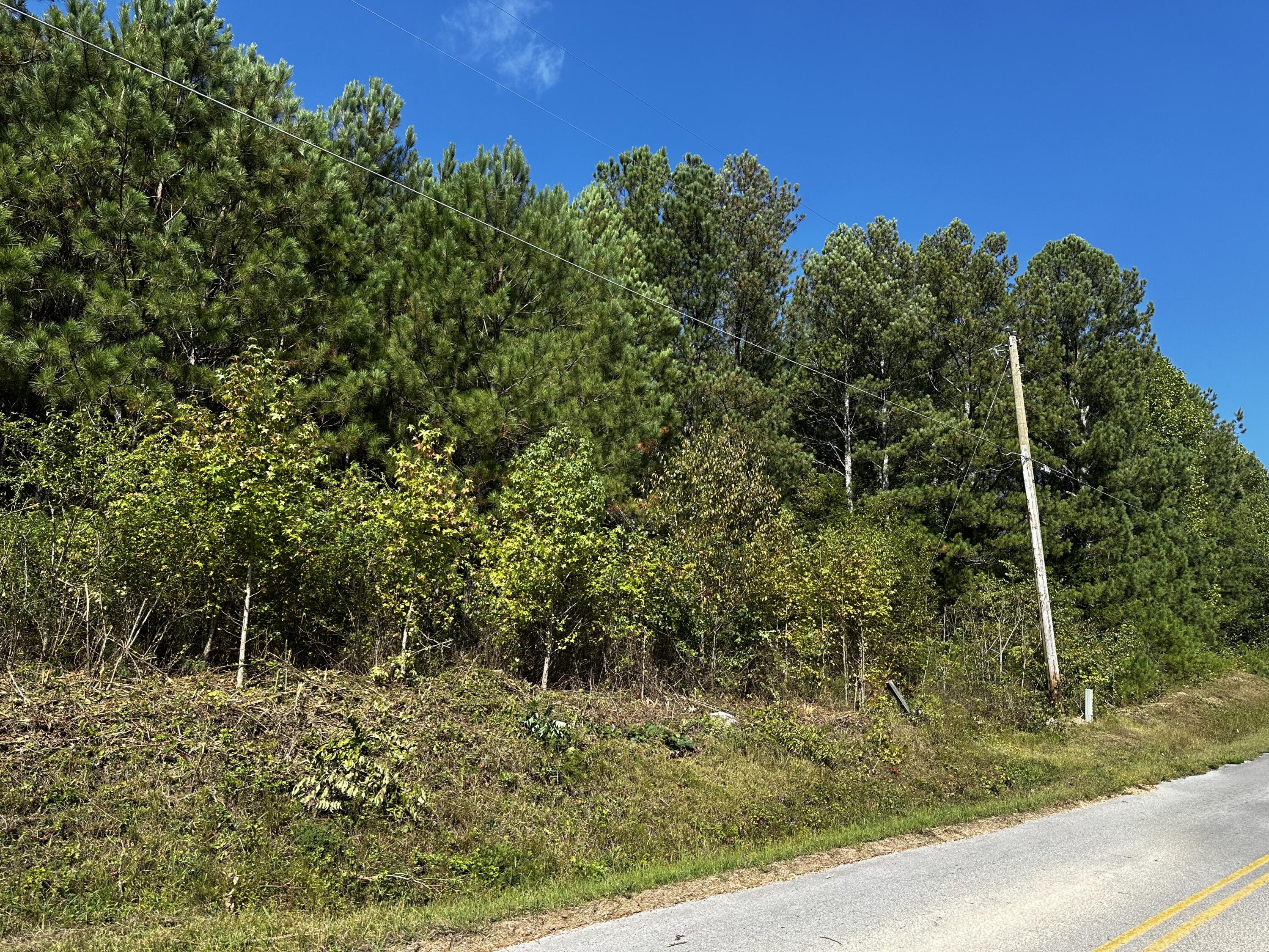 E Teems Road, Ringgold, Georgia image 2