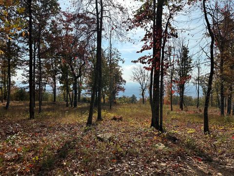 Photo of 288 Duckwood Lane, Evensville, TN 37332 (MLS # 1502421)