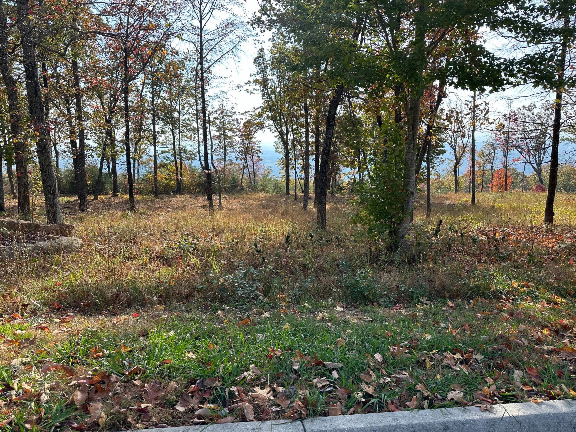 288 Duckwood Lane, Evensville, Tennessee image 2