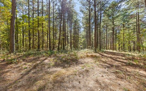 Tiny photo for Lot 2003 Stardust Court, Guild, TN 37340 (MLS # 1523129)
