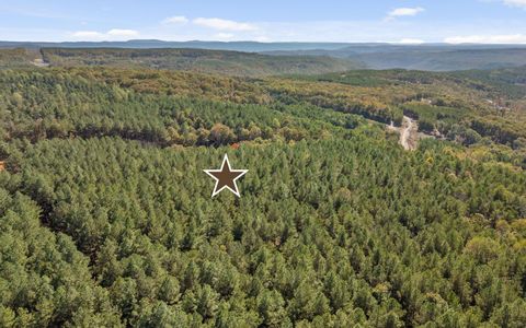 Tiny photo for Lot 2003 Stardust Court, Guild, TN 37340 (MLS # 1523129)