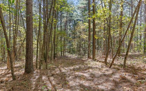 Tiny photo for Lot 2003 Stardust Court, Guild, TN 37340 (MLS # 1523129)