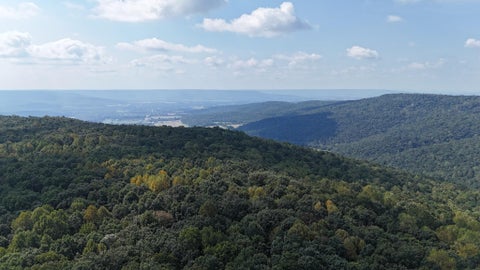 Photo of 0 Deer Run Road, Altamont, TN 37301 (MLS # 1544656)