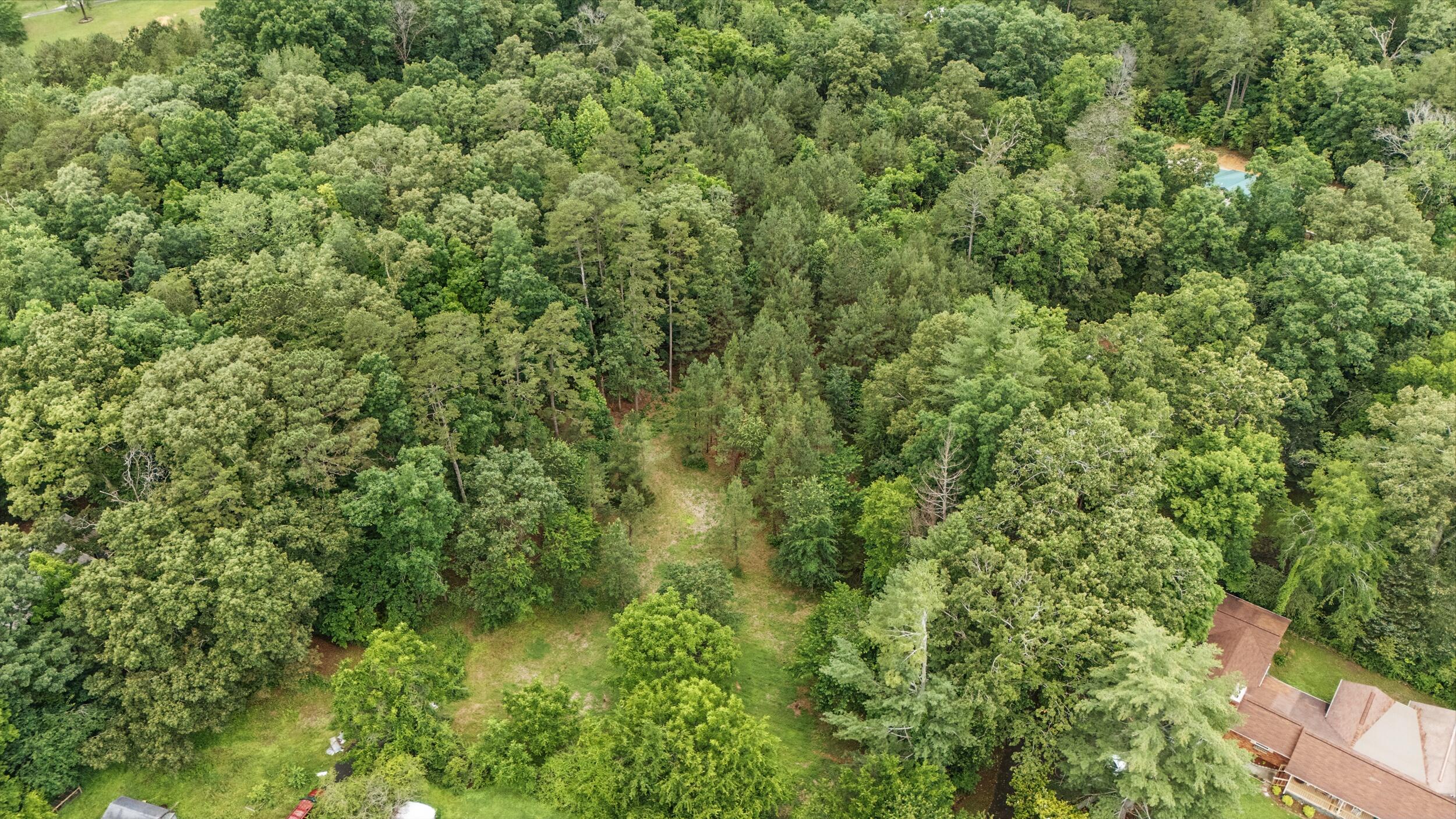 1971 Coyote Trail, Ooltewah, Tennessee image 3