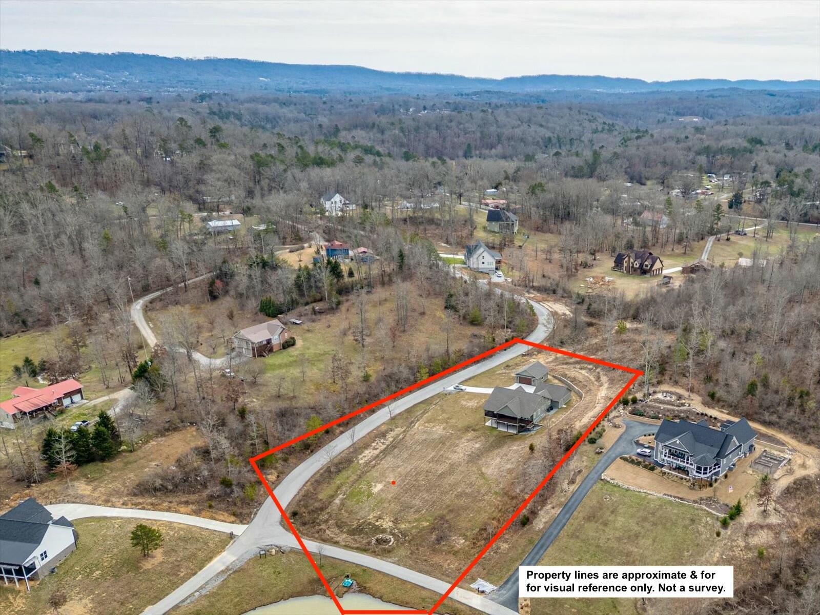 2036 Black Bear Pass, Harrison, Tennessee image 49