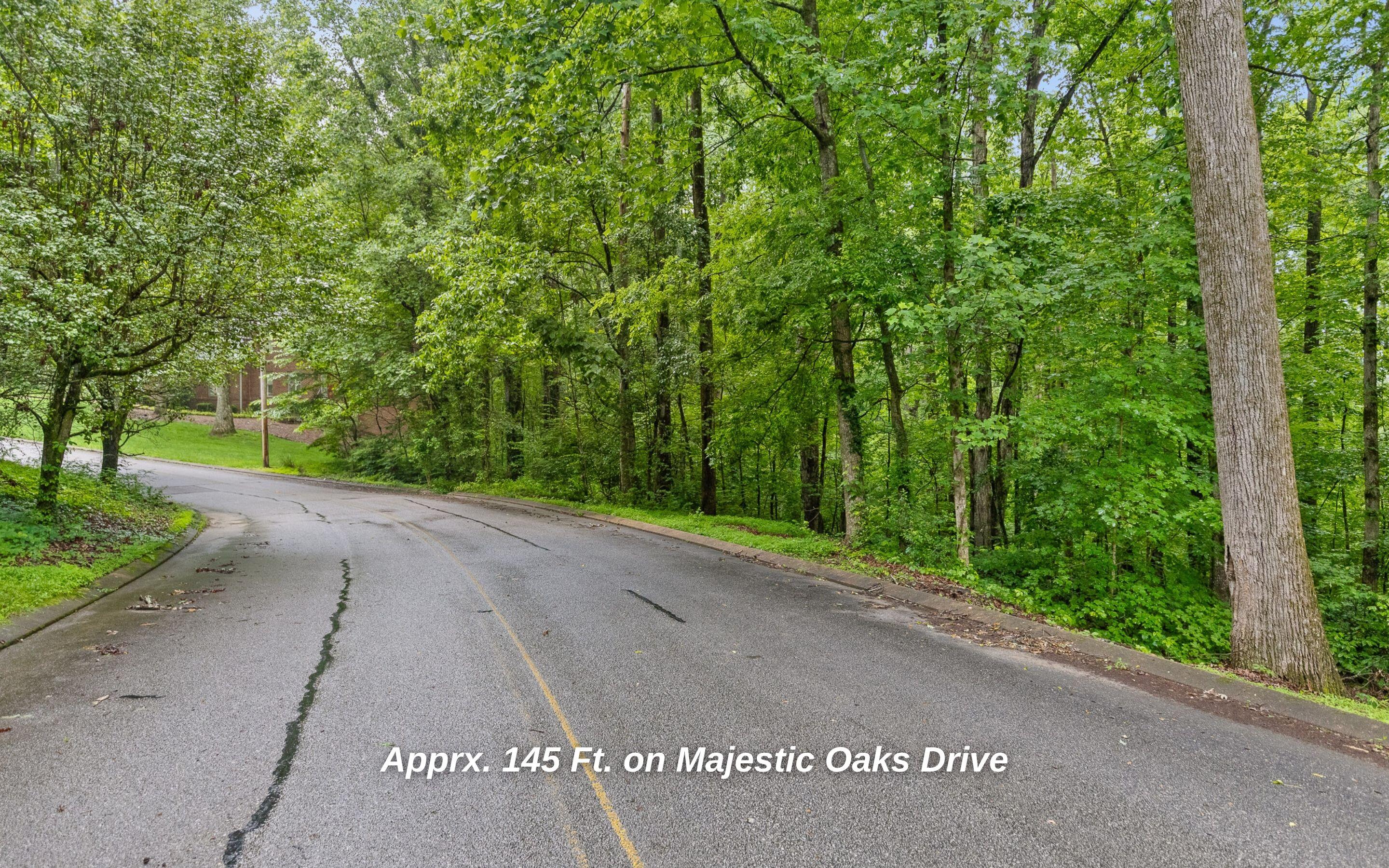 10 Acres Majestic Oaks Drive