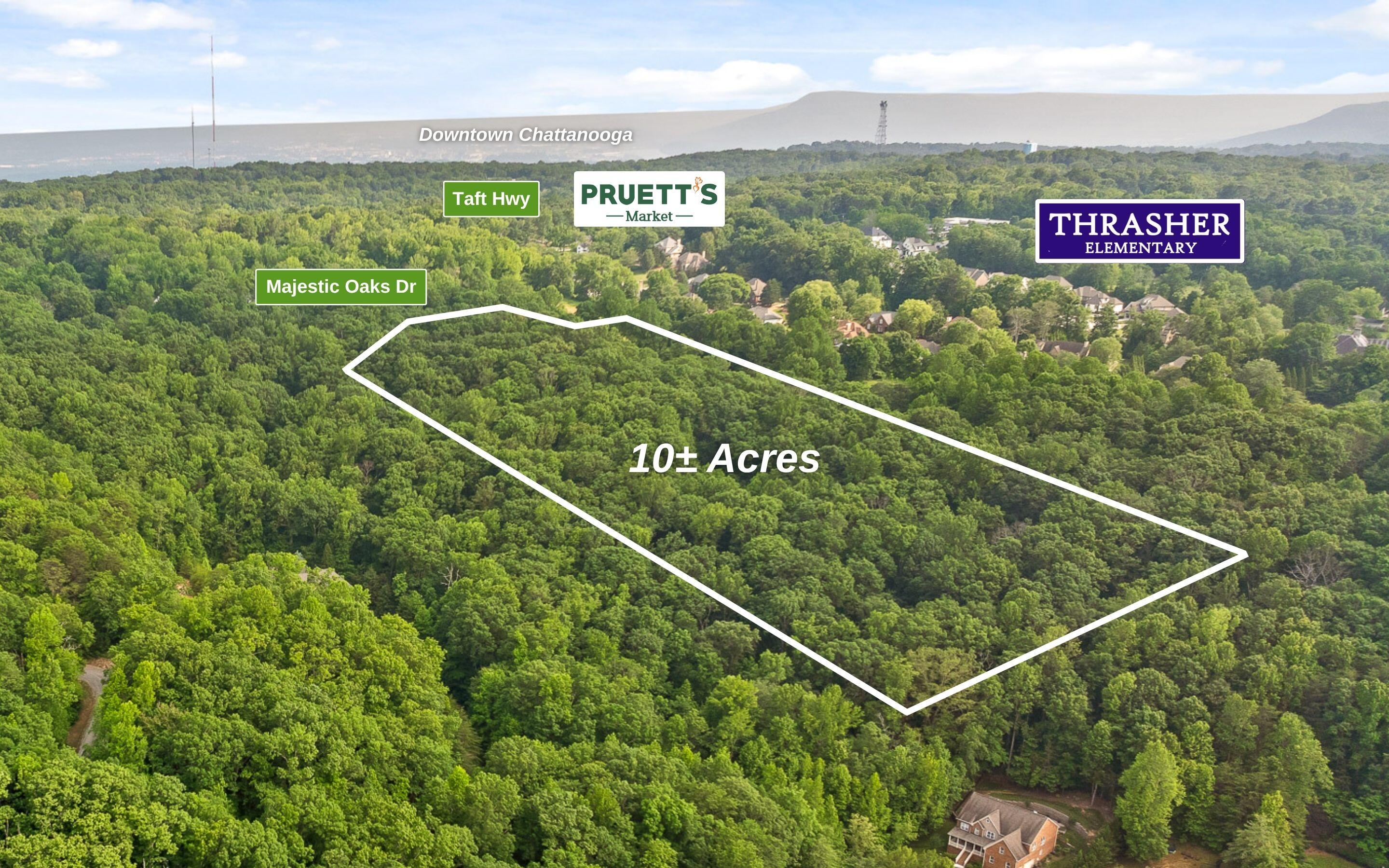10 Acres Majestic Oaks Drive