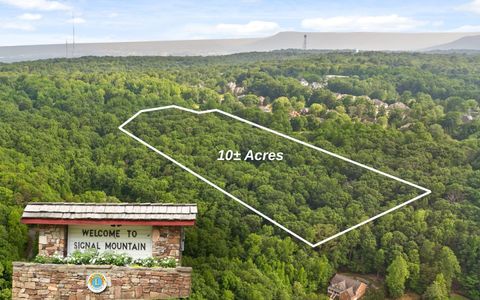 10 Acres Majestic Oaks Drive Signal Mountain TN 37377