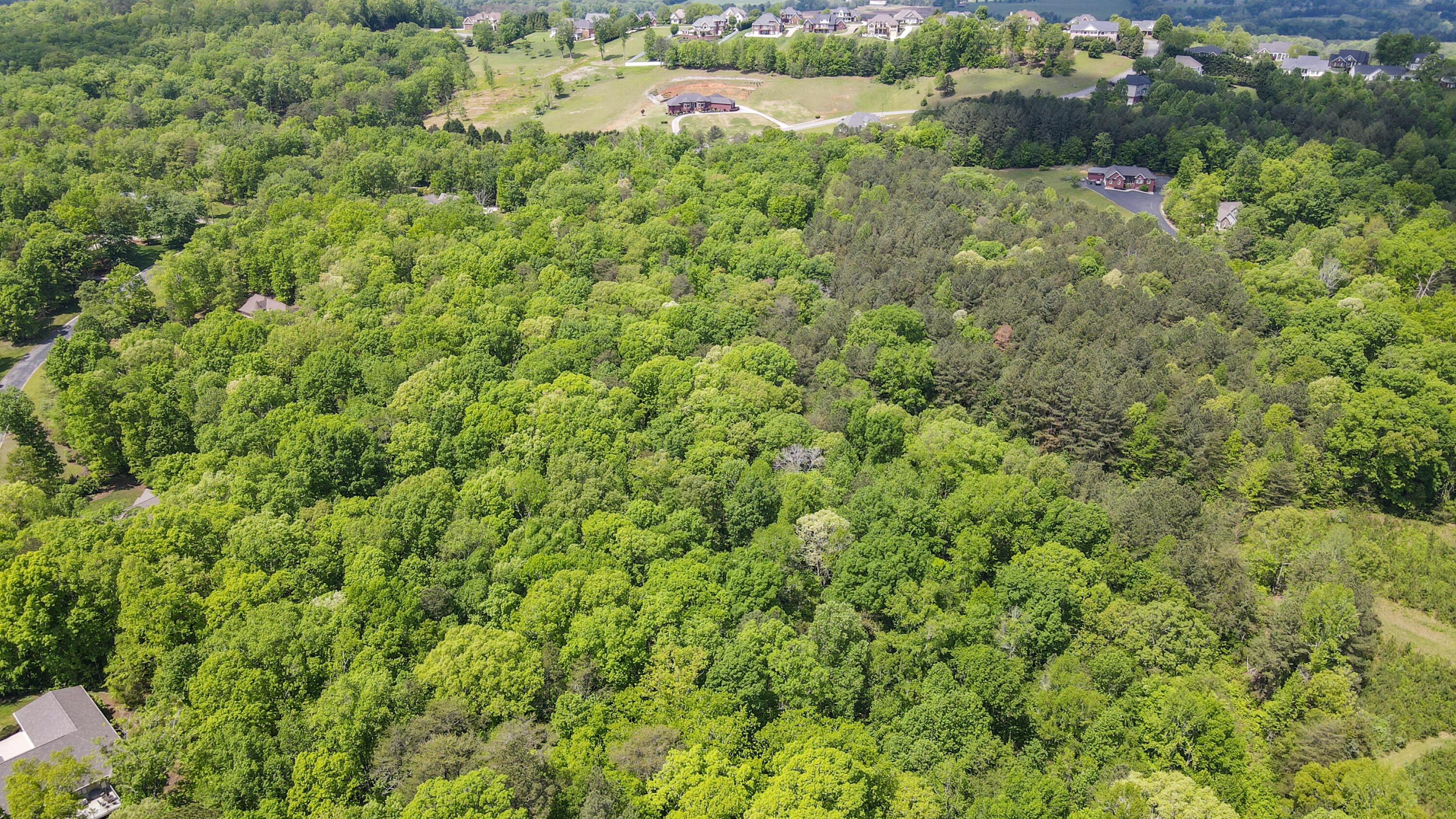 Lot 1 Frontage Road, Cleveland, Tennessee image 9