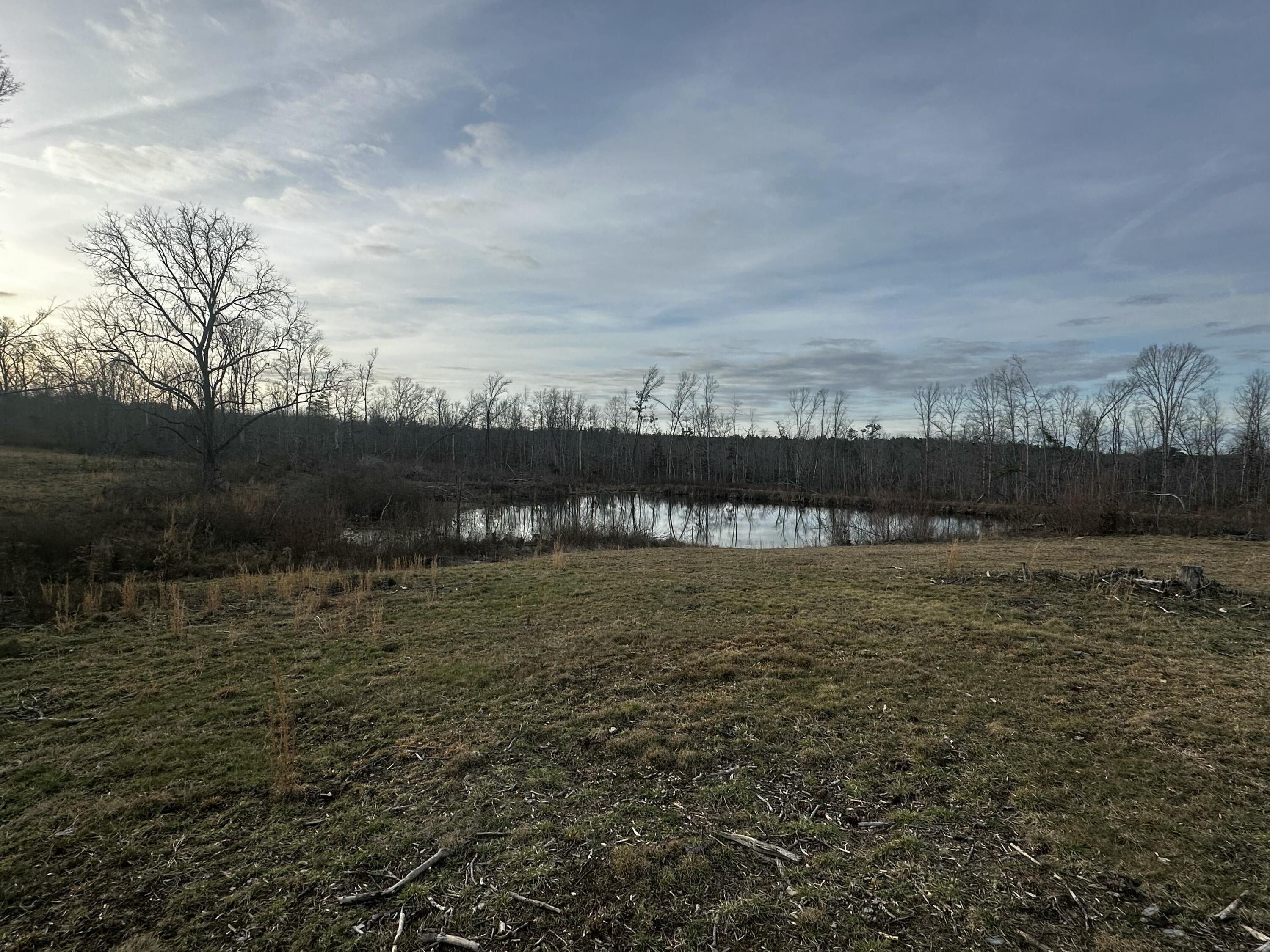 711 Lickpoint Road, Sequatchie, Tennessee image 45