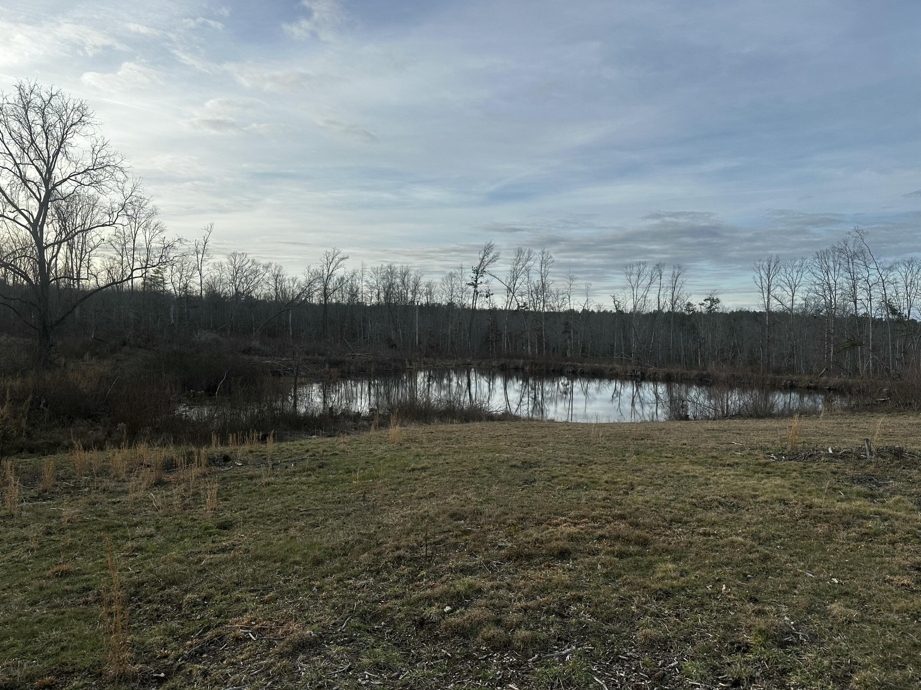 711 Lickpoint Road, Sequatchie, Tennessee image 43