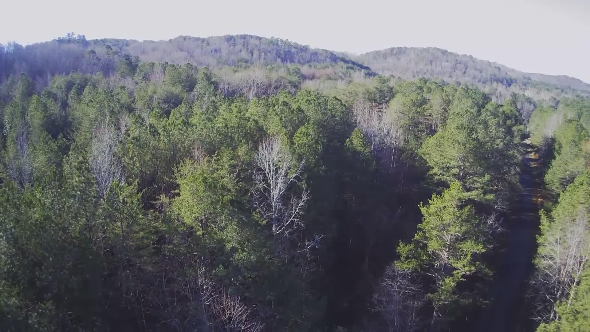 2512 Tolbert Town Road