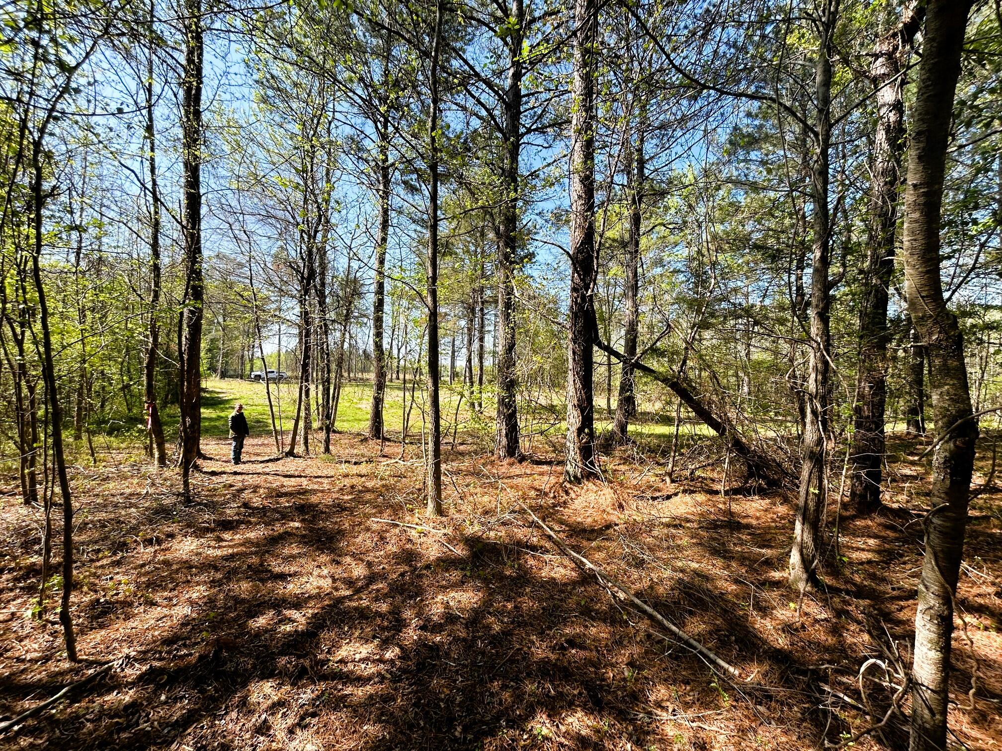 3720 Charles Road, Decatur, Tennessee image 11