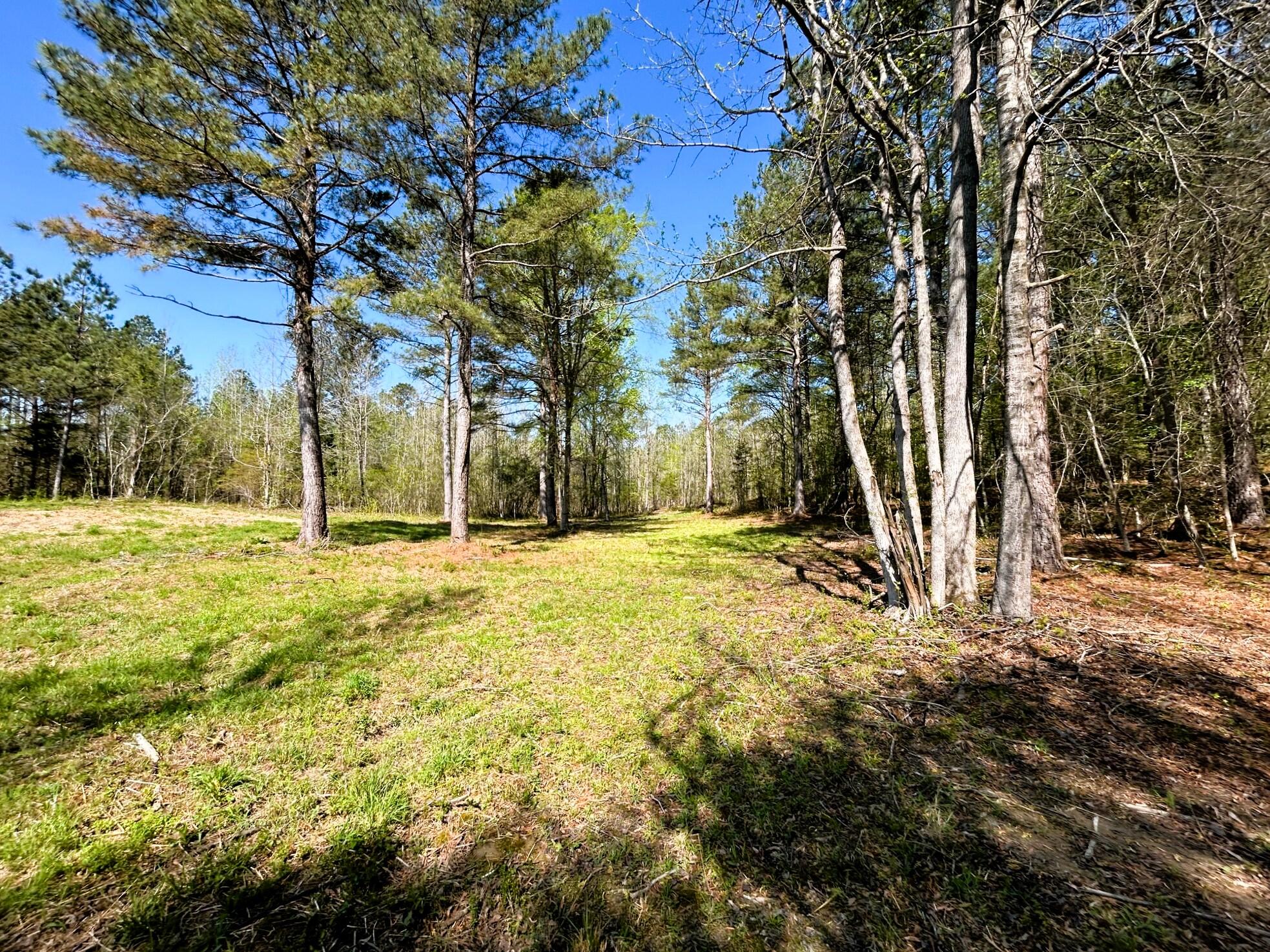 3720 Charles Road, Decatur, Tennessee image 14