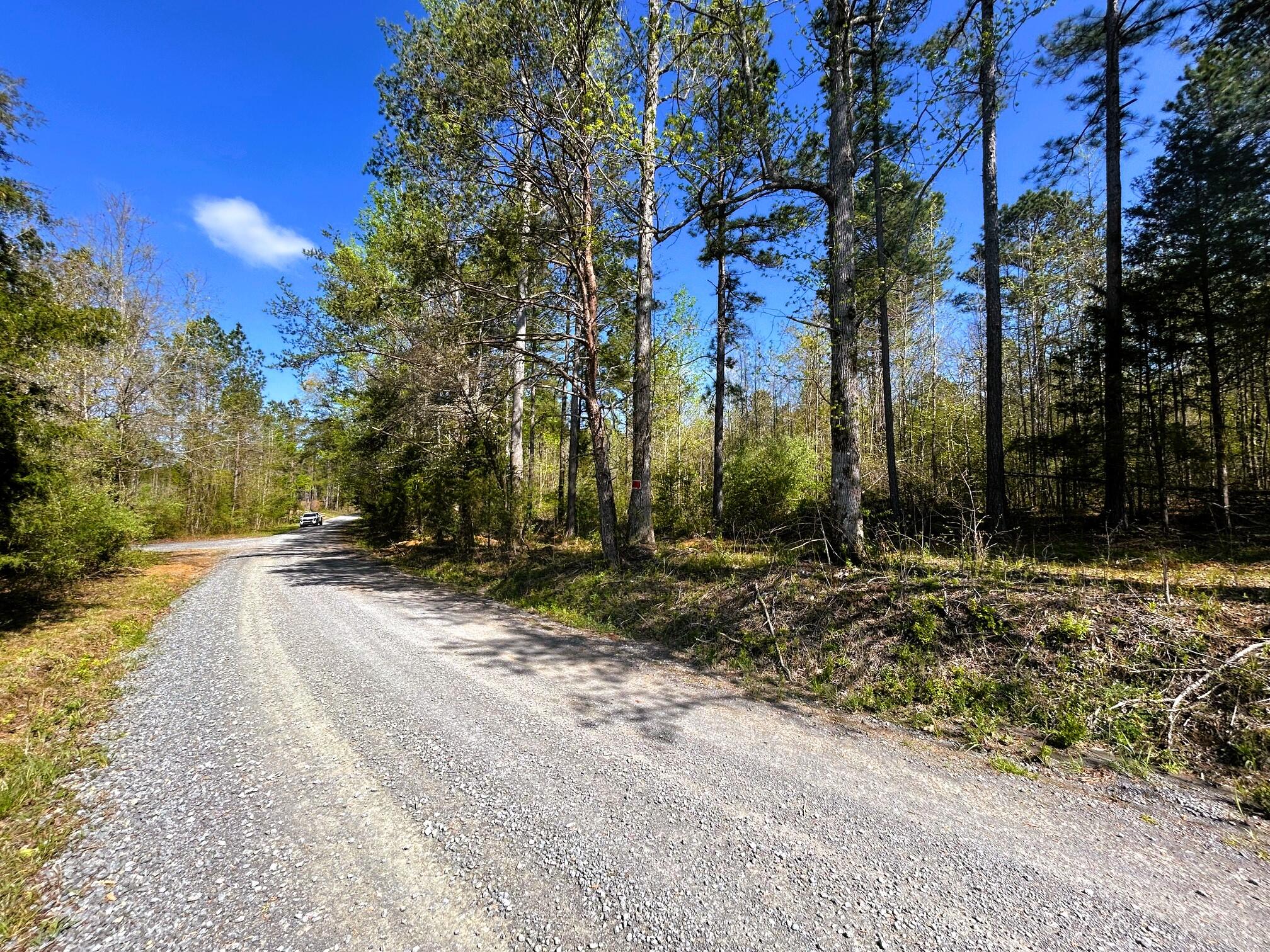 3720 Charles Road, Decatur, Tennessee image 4