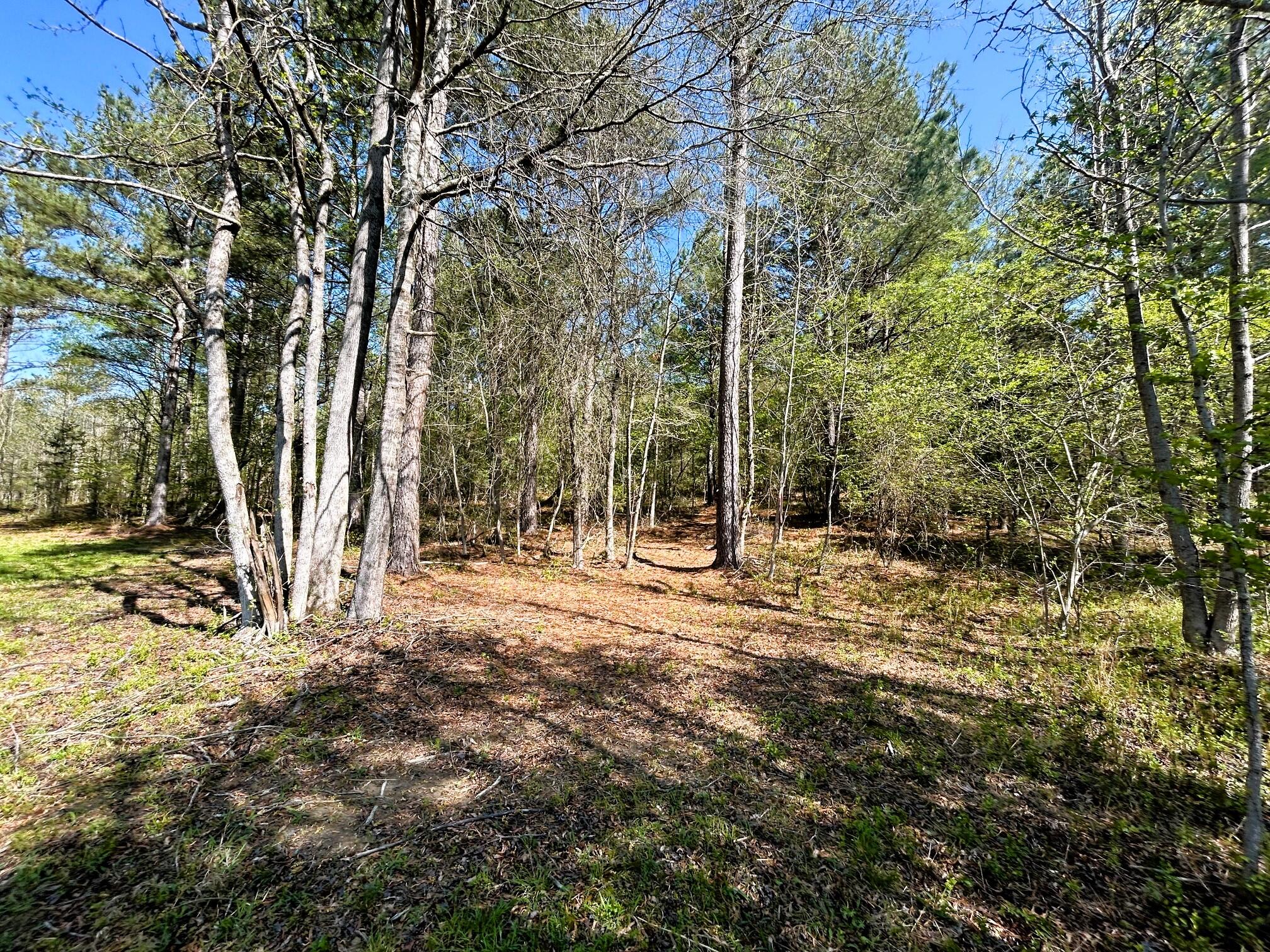 3720 Charles Road, Decatur, Tennessee image 13