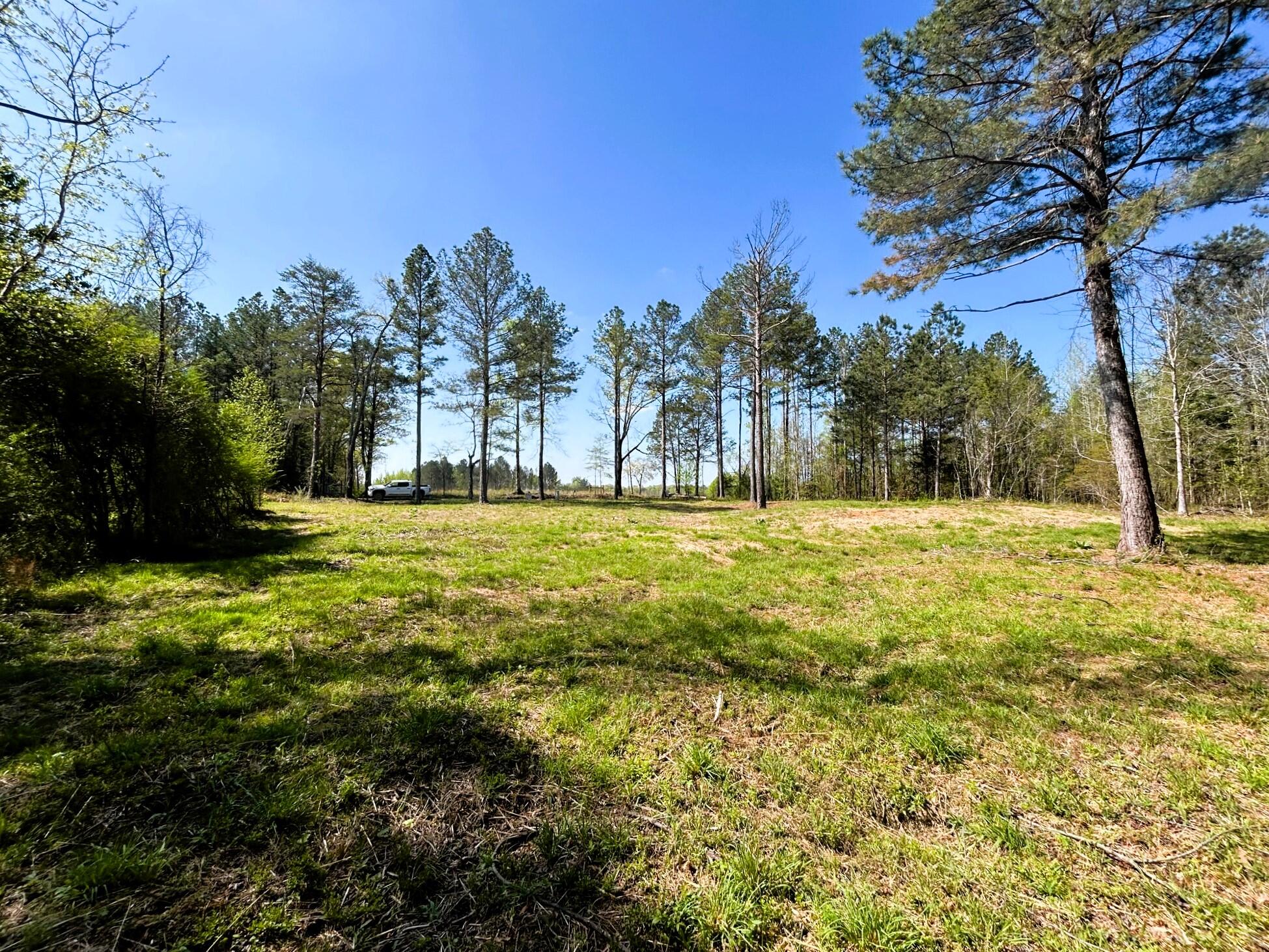 3720 Charles Road, Decatur, Tennessee image 7