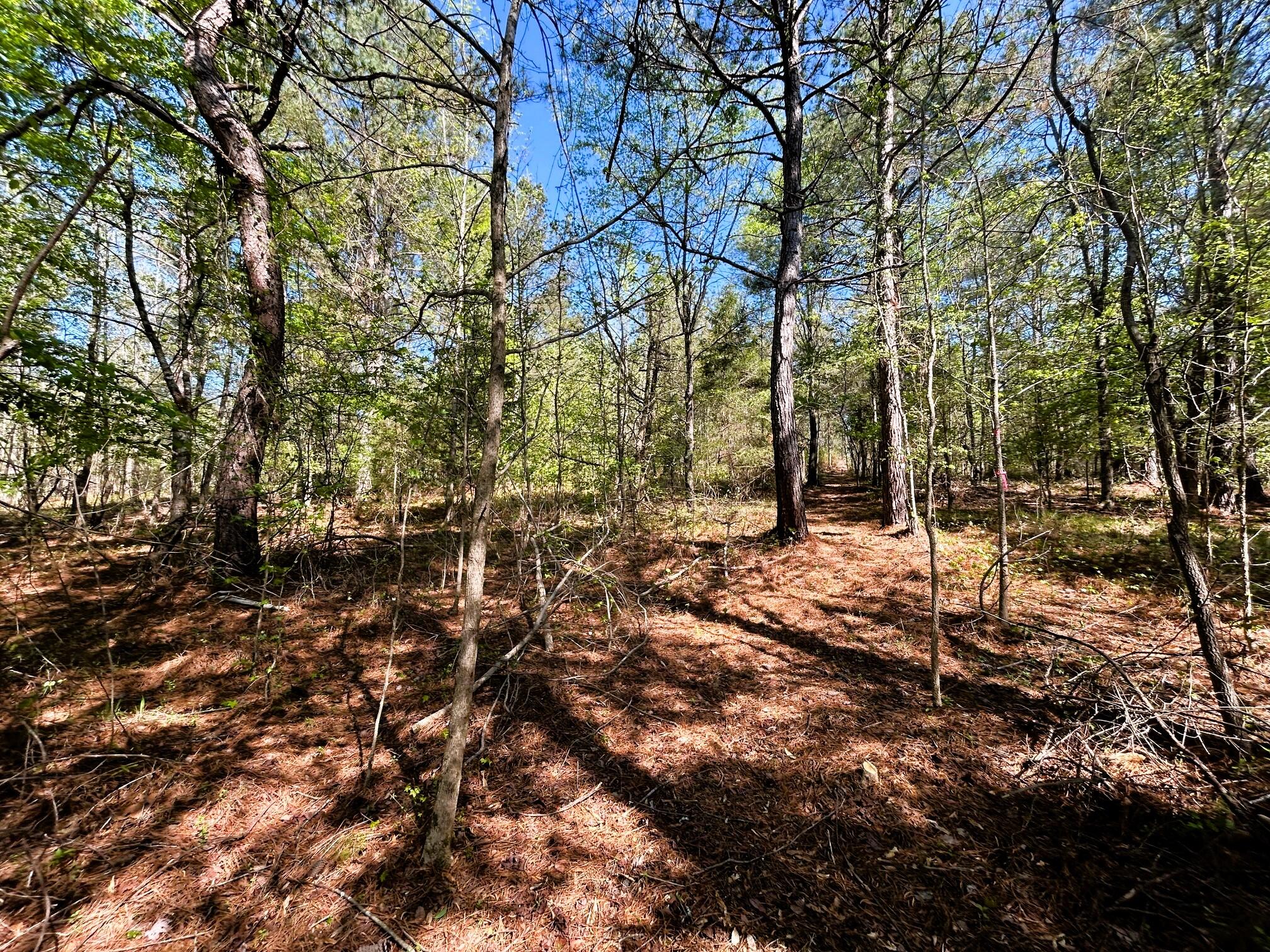 3720 Charles Road, Decatur, Tennessee image 16