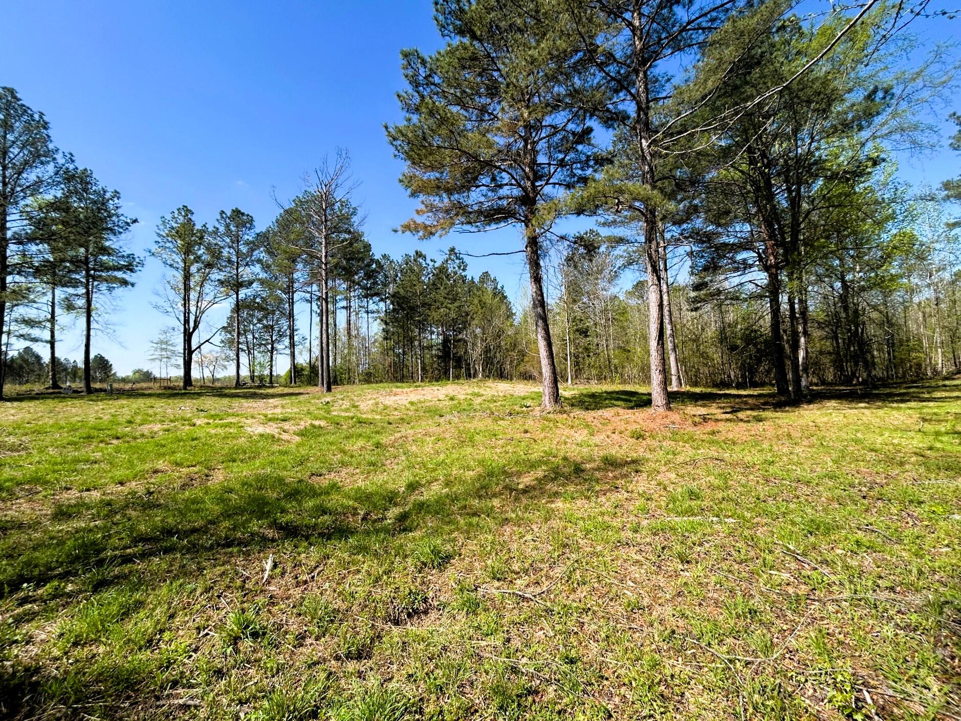 3720 Charles Road, Decatur, Tennessee image 15