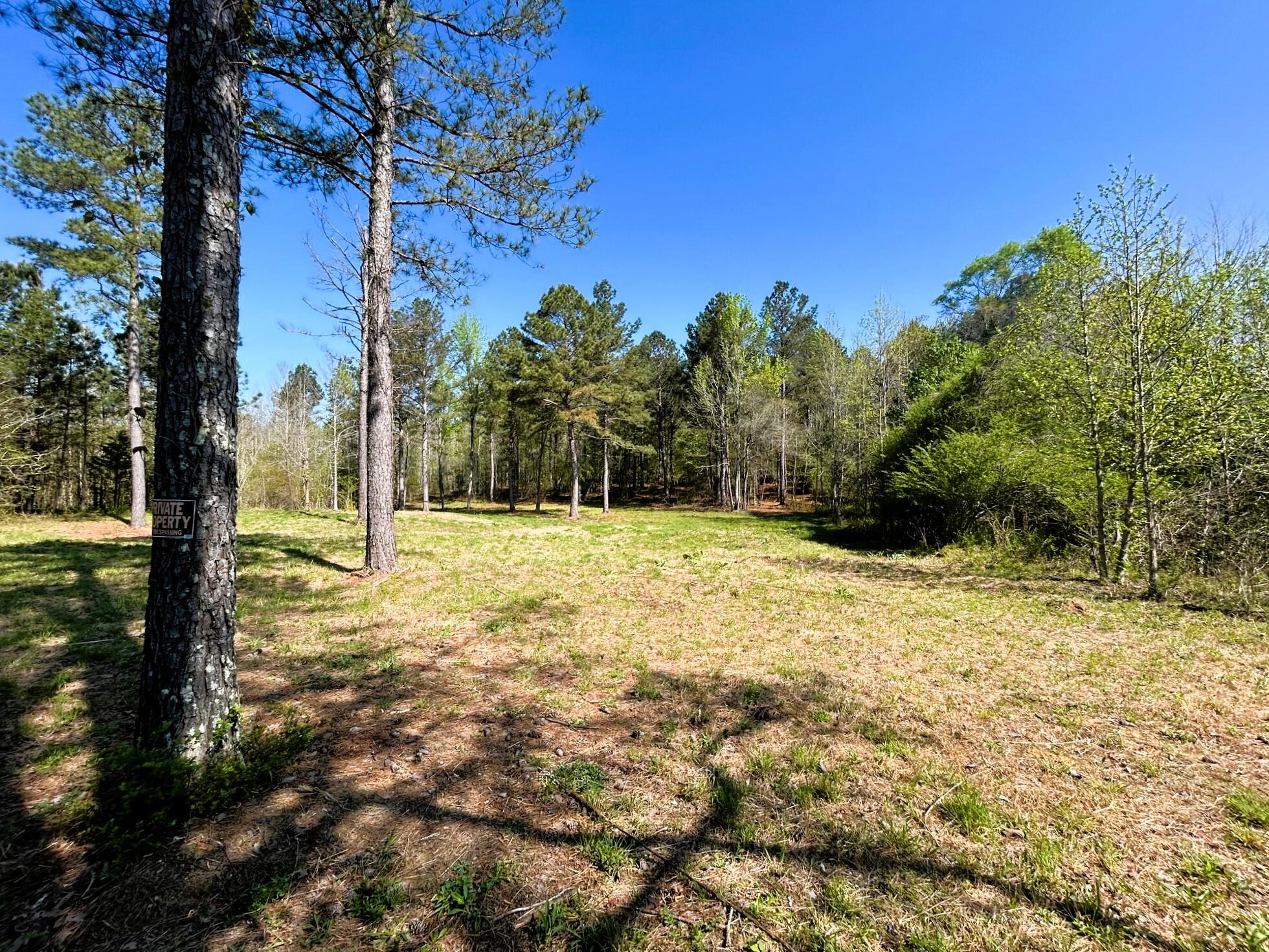 3720 Charles Road, Decatur, Tennessee image 1