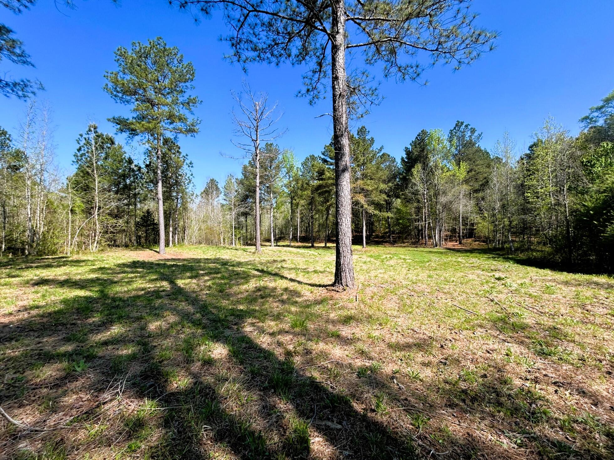 3720 Charles Road, Decatur, Tennessee image 12
