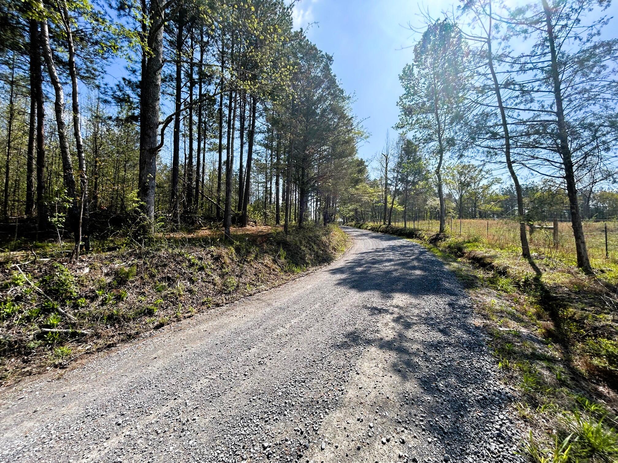 3720 Charles Road, Decatur, Tennessee image 6