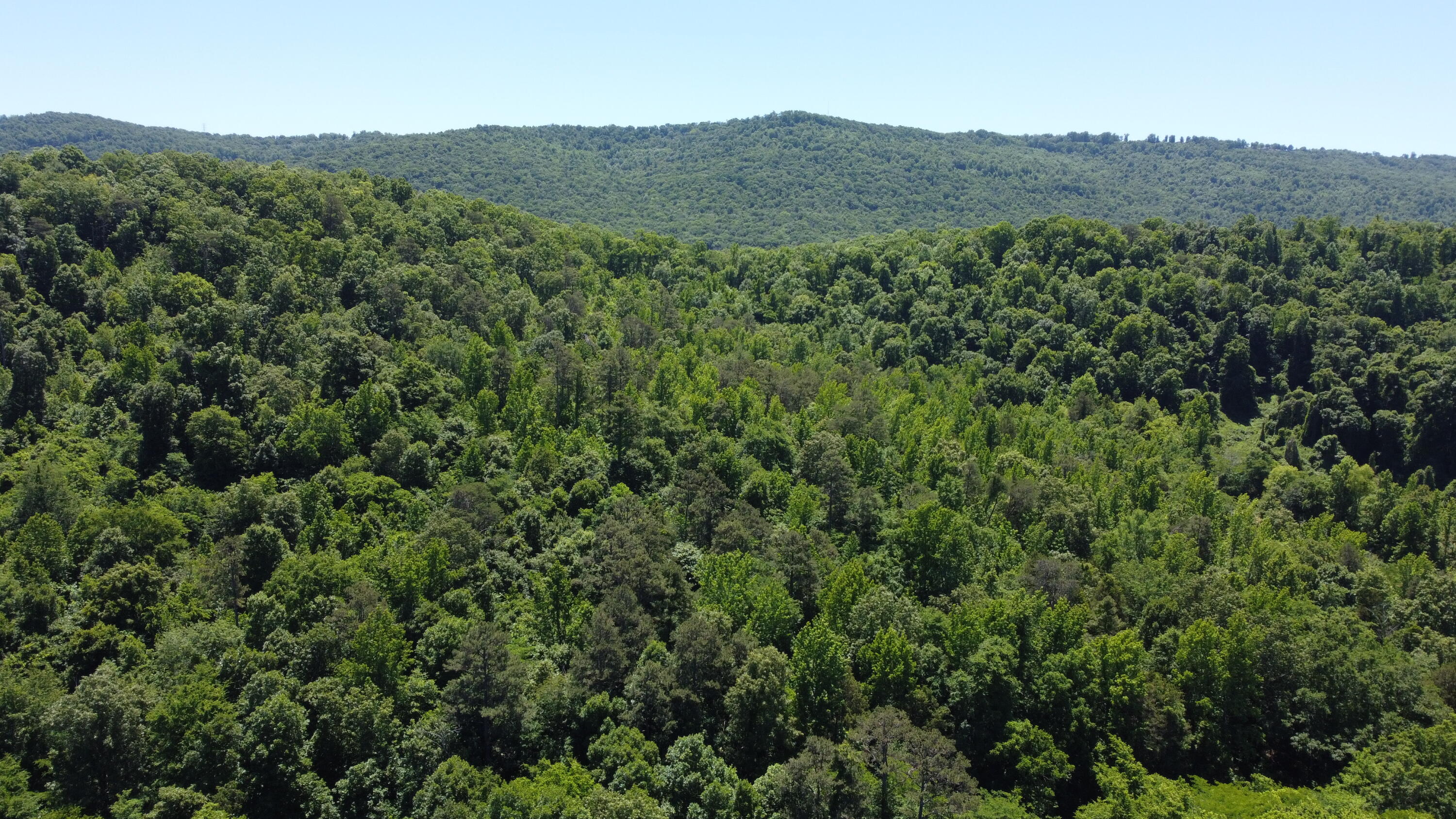247 Hwy 156
