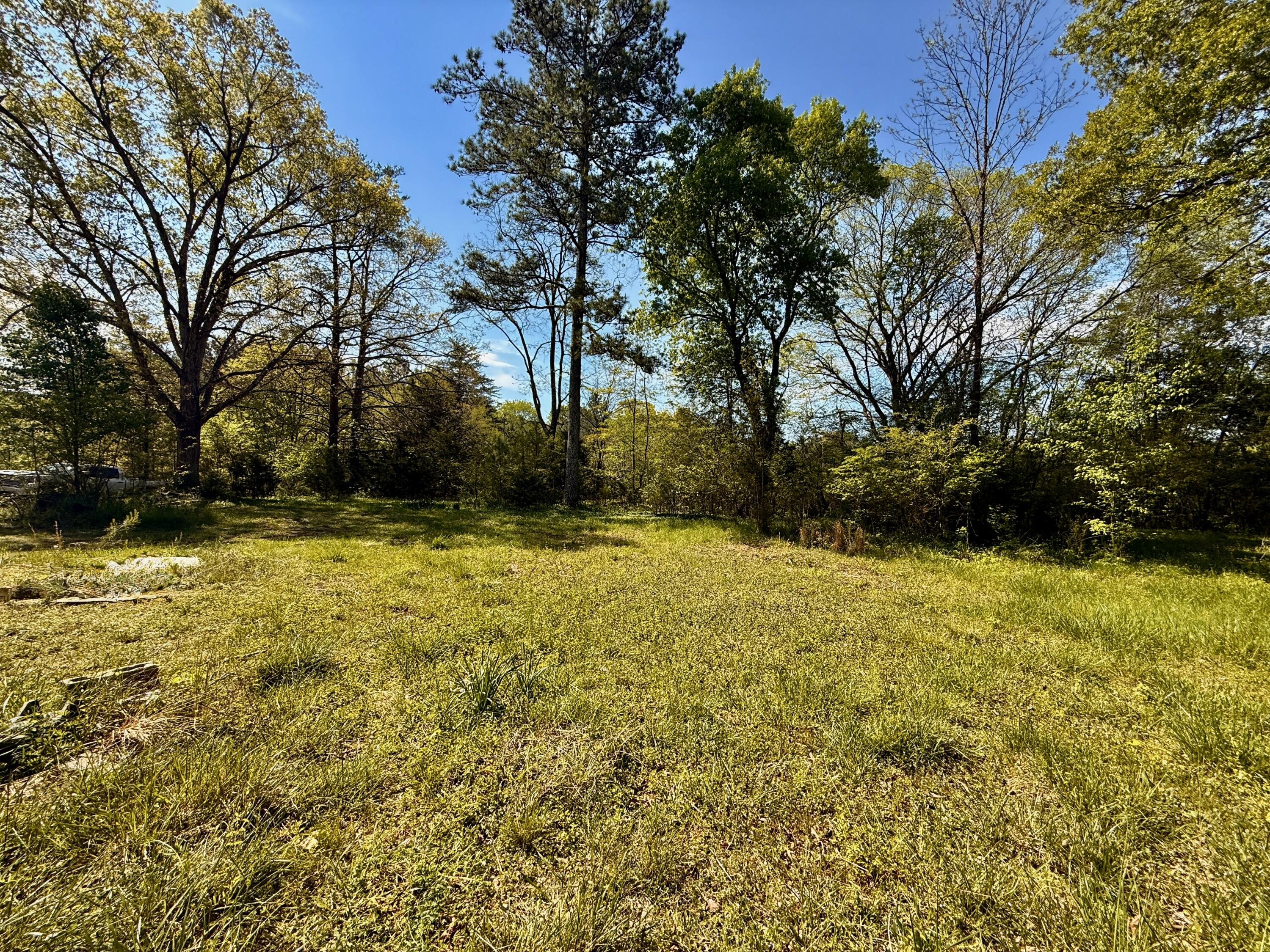 2616 Trion Teloga Road, Summerville, Georgia image 25