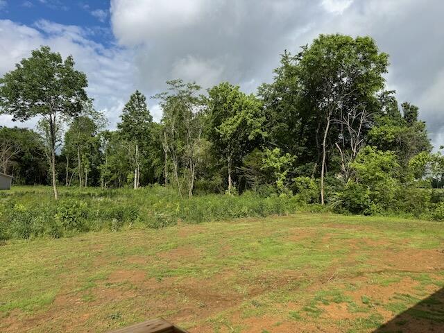 724 Old Cemetery Road, Madisonville, Tennessee image 26