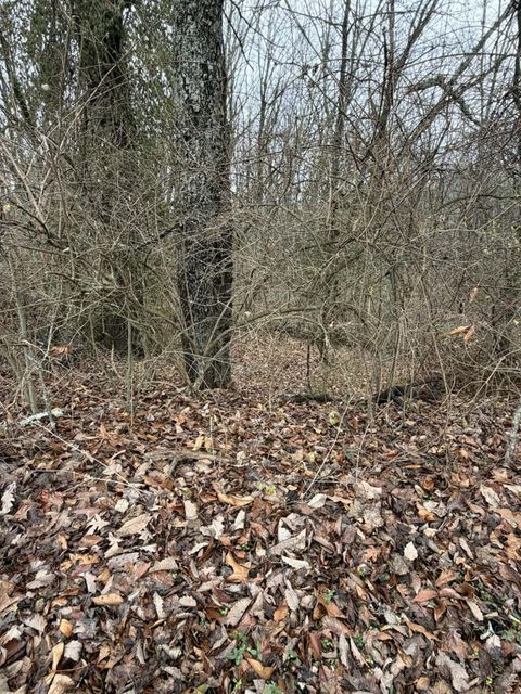 Tiny photo for 2700 Fairview Drive, Chattanooga, TN 37406 (MLS # 1527156)