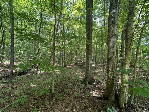 Tiny photo for Lakeview 2 Highway 304, Ten Mile, TN 37880 (MLS # 1527302)