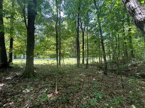 Tiny photo for Lakeview 2 Highway 304, Ten Mile, TN 37880 (MLS # 1527302)