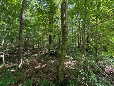 Tiny photo for Lakeview 2 Highway 304, Ten Mile, TN 37880 (MLS # 1527302)