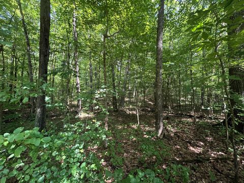 Tiny photo for Lakeview 2 Highway 304, Ten Mile, TN 37880 (MLS # 1527302)