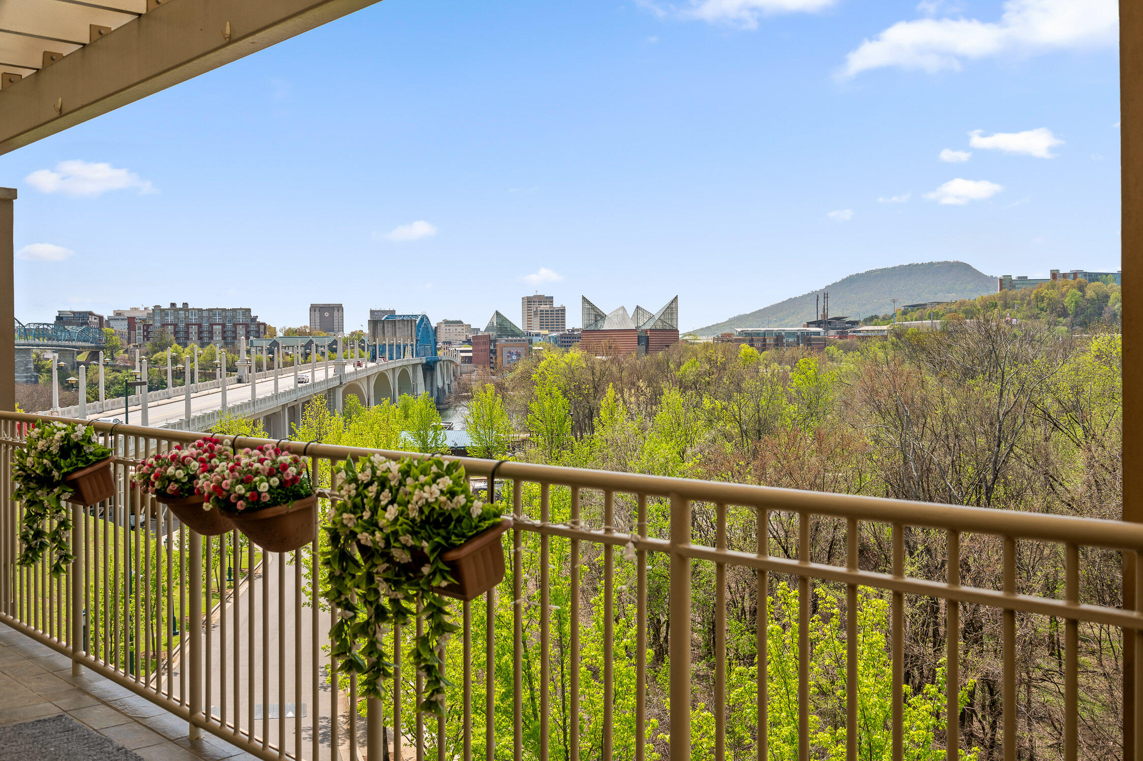 4 Cherokee Boulevard #405, Chattanooga, Tennessee image 1