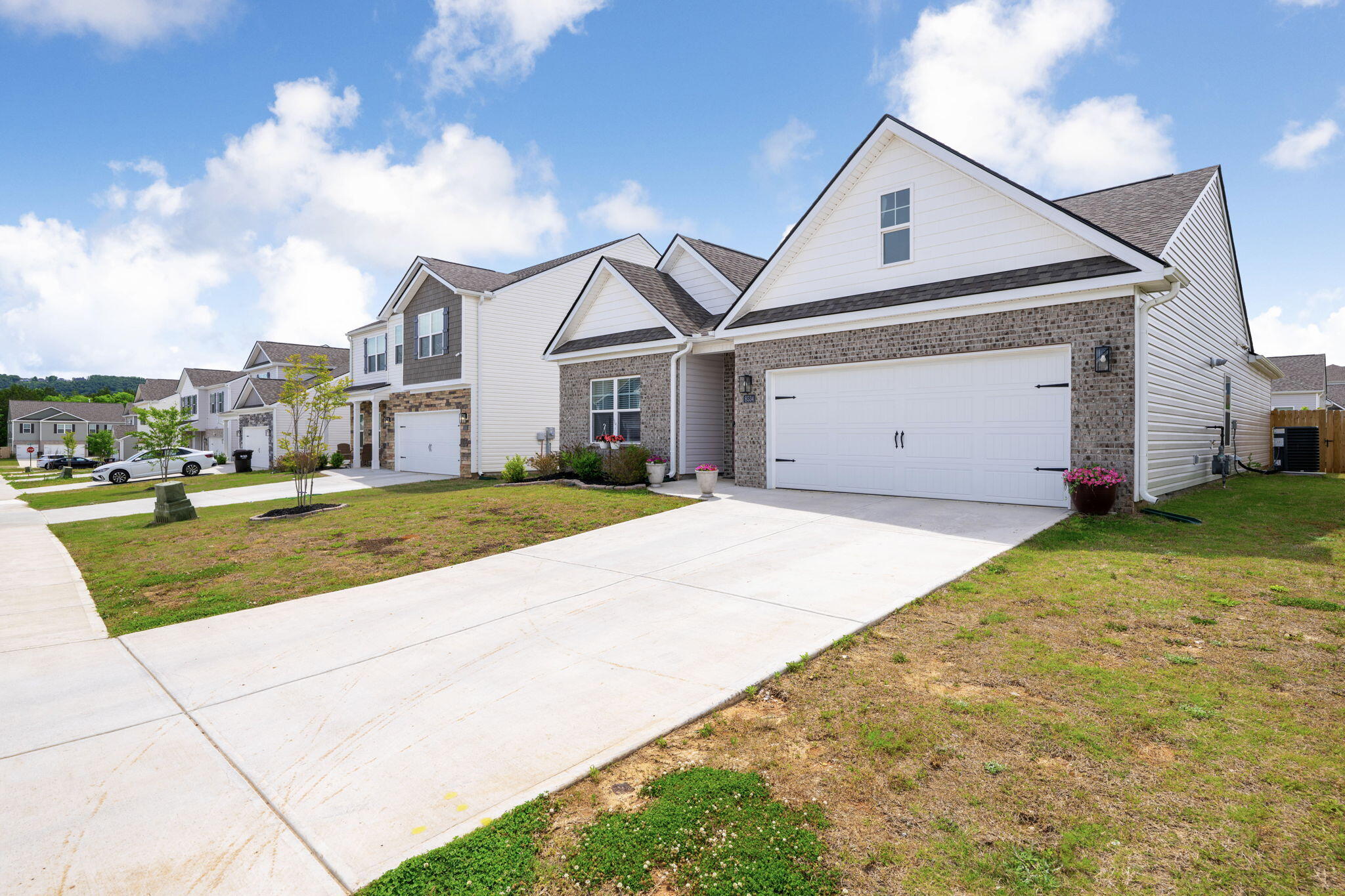 8534 Dewberry Drive